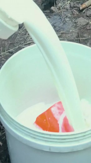 Kal Dairy Products