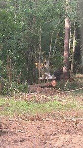 6.1K views · 90 reactions | Logger work #loaderman559 #tigercat #johndeere #forestry #equipment #disscussion #PAY #logging #wage #work | Peake Warren | Facebook