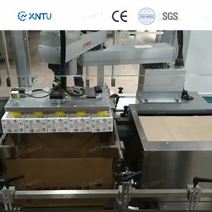 [Hot Item] Automation Robot Carton Case Packing Machine for Food Bags Box