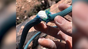 Jared Leto nearly died while abseiling