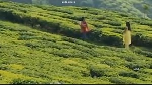 31K views · 3.4K reactions | Timilai Dekhera || Mongolian Heart | Uncrowned | Facebook