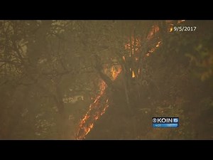 300 firefighters battling Eagle Creek Fire