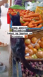 Ang lambing ni miming #miming #ilovecats #blackcat #puspin #trend | Mommy Gen and Charlene's Vlog