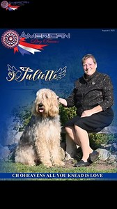 1.2K views · 15 reactions | This week's Cover Dog "Juliette" CH...