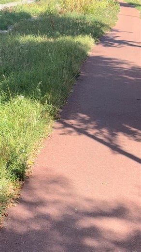 1.6K views · 45 reactions | Malcolm Conlan on Reels | Facebook