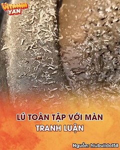 Ăn thôi không xem được khum 🥶 #vitaminyan | YAN Foods