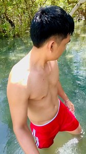 mangrove nature #naturevibes #sealife | Jayson M. Gaylan