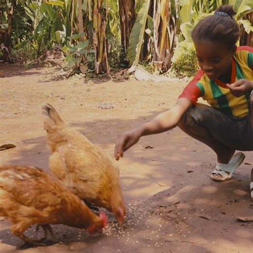 99 reactions · 13 shares | What are good #Christmas gifts? For some families its chickens  and goats  because they help provide a steady supply of:  eggs 拏 milk 數 and protein Say #ENOUGHisENOUGH! Children and their families should NOT be experiencing hunger and starvation! ➡️ https://bit.ly/47LAEwG ❌ #ENOUGH ✋ ❌ #ENOUGHChildHunger ❌ #EndChildHunger | World Vision International | Facebook