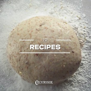 Whether you're a beginner or a seasoned baker, our downloadable bread recipes offer step-by-step instructions for delicious loaves, from classic sourdough to banana nut. | Countryside Magazine