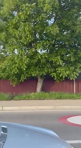 22K views | Compania Teleradio Moldova on Reels | Facebook