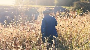 1.3K views · 65 reactions | Special thanks to BSA Troop 94 - Pocono Pines, PA for helping Peter Tota take down the Butterfly Garden. We've collected all the beautiful Kindness Rocks and we will put them in storage until the Spring. | Lake Naomi Club | Facebook