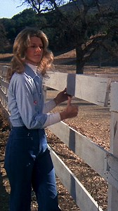 5.8M views · 9.8K reactions | Bionic Woman fixing wooden fence  #bionicwoman #1970s #jaimesommers #70s #LindsayWagner | Bionic Woman | Facebook