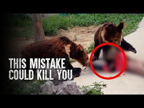 The Worst Things To Do in a Bear Attack