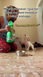 Dog Opens Door Caught on Camera — Funny Skinwalker Moment