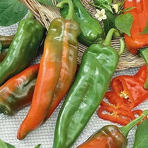 Eden Brothers Hot Pepper Seeds (Organic) - Anaheim Chili