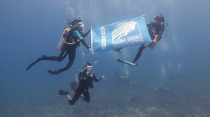 1.3K views · 44 reactions | Happy Flag Friday from Playa del Carmen with the SDI team! #DiveFlagFriday #SDIdivers #wearescubadiving | SDI - Scuba Diving International | Facebook