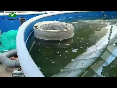 Shrimp Farming Greenhouse