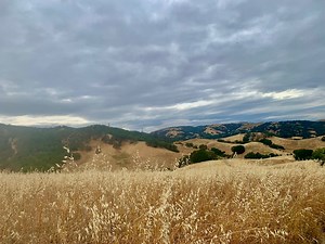 Threatening Skies At Briones: Photo