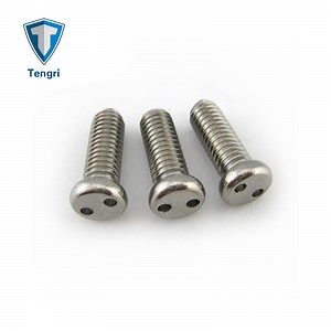 [Hot Item] 2-Hole Pan Security Pig Nose Machine Screw Snake Eye Pan Head Screws Machine Screws