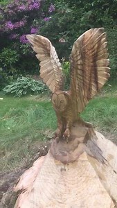 On site stump carving finished today! We are happy to discuss any ideas you may have for a stump you have in your garden! Send us a message! 🦉😁👍🏻 | Michael Jones Chainsaw Sculptor
