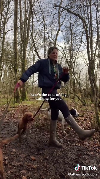 thewalkingequestrian on TikTok