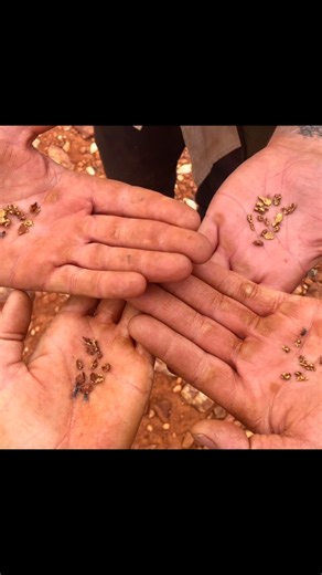 Metal Detecting for Gold with Lee from Savage Prospecting #metaldetecting #metaldetector #goldnuggets #gpx6000 #goldprospecting | Outback Gold Fever