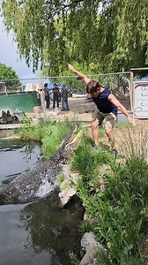Morris the Alligator Colorado Gator Farm #alligators #gators | Wild Charles