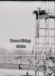 Competitive horse diving, 1920s | Get Raw Milk