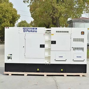 [Hot Item] Quiet Industrial Natural Gas Generator for Sensitive Environments