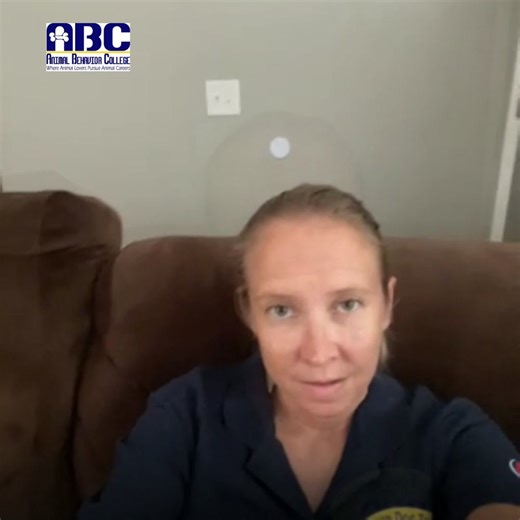  Erin's Journey: From Dog Lover to Certified ABC Dog Trainer  Meet...