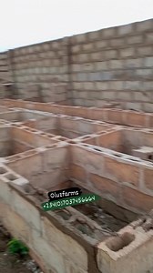 Updating you on our snail farm extension project! It's a journey filled with challenges, but we're fueled by passion and determination. We aren't stopping until we reach our dreams. 💪 We began this business modestly, with just buckets in a small setup years ago when snail farming wasn't widely recognized. Yet, we believed in its potential. With unwavering passion, dedication, consistency, and hard work, we've turned snail farming into a profitable venture that pays off. 💰 Our Big Goal 🌟 The a