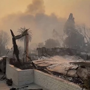 The Nature Foundation on Reels