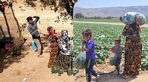 13K views · 91 reactions | looking for a job a women perseverance of a singl. | Boo TV | Facebook