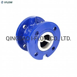 [Hot Item] Wras DIN Cast Iron Flanged Ends Nrv Silient Check Valve