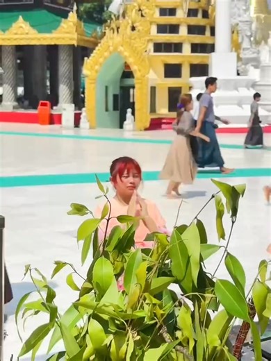 1.8K views · 21 reactions | ကုသိုလ်ယူမယ်✨ | Xmue Xmue | Facebook