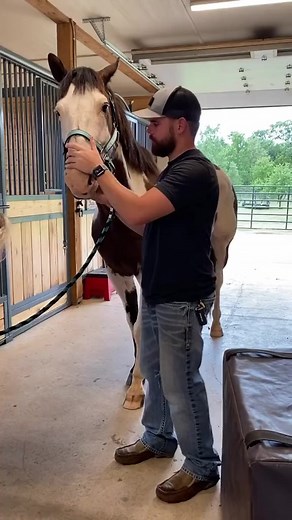 61K views · 1K reactions | Lickin’ & Chewin’ = Positive Response  #chiropractor #animalchiropractor #chiropracticadjustment #horsesoffacebook #horsevideo #positiveresponse #animalcracker #oklahoma | Oklahoma Chiropractic | Facebook