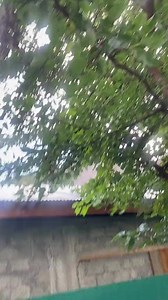 Dhoop me🫣 #minecraft #tiktok #enderman #mine #craft #animation #Minecraft, #Daily, #Short, #Funny, #Cute, #Relatable, #Tiktok, #Aesthetic, #Minecraft, #Cute, #Funny, #Short, #Videos, #Daily, #minecraftdeutsch, #deutsch #funny #minecraft, #minecraft #hindi, #minecraftespanol, #espanol #mrbeast, #top10, #hot #minecraft, #cute #minekraft, #cute #minceraft, #2b2t, #gommehd, #minekraft | Kelashi Girls