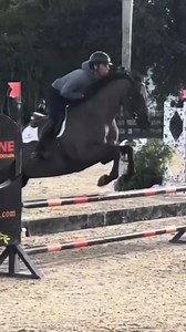 SARASOTA 2018 - 16.1h - Hanoverian- Mare Listed by: @fallcreekfarmandstable ‘Sarasota” is by renowned hunter sire “Sir Wanabi” out of an Escudo II mare. Jumping courses and doing easy lead changes—ready to show. Brave to the jumps. Sara has a great amateur disposition —one that won’t need a complicated program. Trail rides. Natural lead change. Cute mover. Sweet and wants to please. Always loves attention. Not mare-ish. True black—fully registered Hanoverian. Others available. We are the Owner a