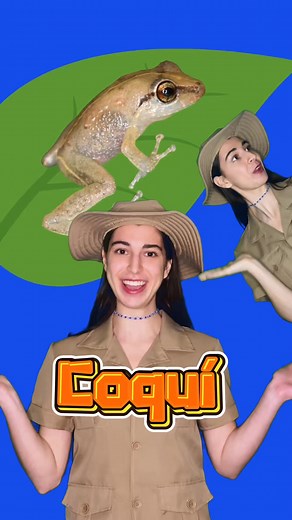 Coquí #animals #puertorico | Zoozical