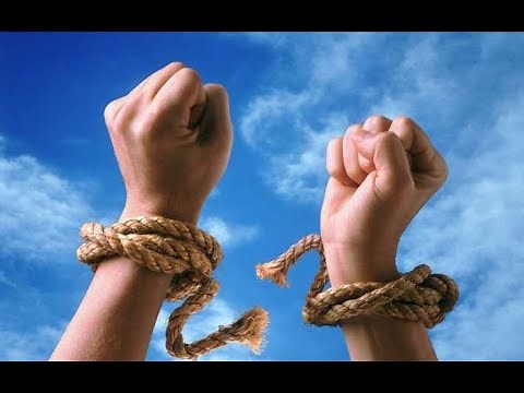 Liberté : La chanson