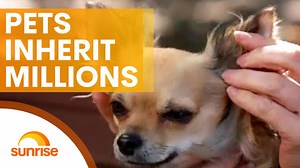 Woman leaves million dollar fortune to pets instead of children