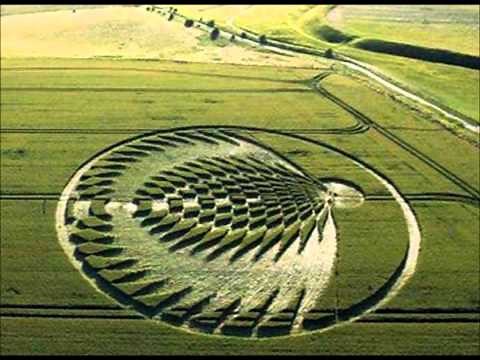 What on Earth? Inside the Crop Circle Mystery with Suzanne Taylor