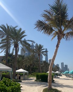 Ed Westwick on Reels