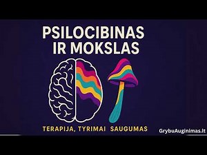 Magiški Grybai – Nauja Terapijos Viltis? Psilocibino Tyrimai #5