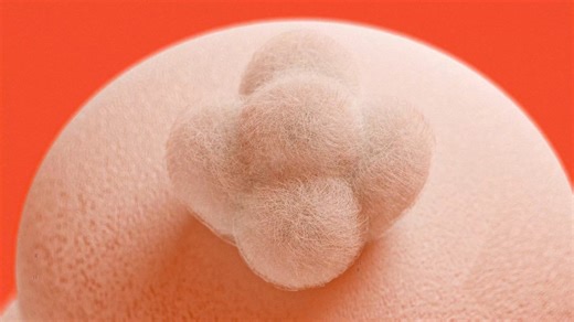 Buck the Bunny is back with a new look. | GameStop