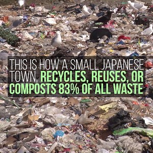 They organize their waste into 34 categories. | The Plaid Zebra