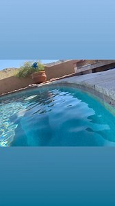 Jump into these stunning pool landscaping ideas to get the most out of those hot days.#Arizona #poolrenovation #landscapingcompany #PaversInstallation #landscapingideas #phoenixartificialgrass #arizonalandscaping #hardscape #landscaping #mastercraftsman #arizona #fireplace #Firepit #firepit#retainingwall #landscaping #landscapingcompany #PaversInstallation #landscapingdesign #mastercraftsman #paverstone #arizonalandscaping #landscapedesign #pavers #arizona | Advant-Edge Pools And Landscape