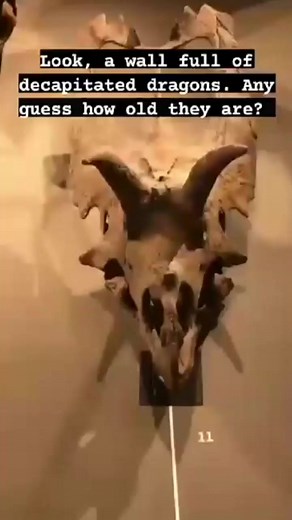 3.2K views · 26 reactions | what was going on？Aliens Compilation and more! 407 #UFO #mars #elonmusk #space #Alien #nasa #solarsystem #Spaceexploration #ancienthistory #ancientcivilization #nasa #solarsystem #wormhole #cern #interdimensional #dimension #glitchinthematrix #Disclosure #ancient #ancients #ancienthistory #ancientcivilization #elonmusk #mysterious #sky #ufosighting | Mysterious Media | Facebook