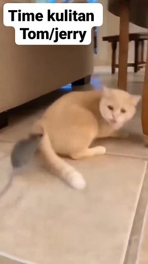 No matters how you feel sad,don't forget to the prayer.And look forward to Jerry and Tom hehehe. #StressRelief #funnyvideos #tomandjerry #reelschallengereelschallenge | Neka Chan Alawi