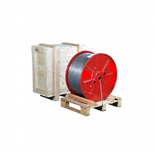 [Hot Item] Oil Drilling Mud Logging 3.2mm Eips Stainless Steel Wire Rope Slickline